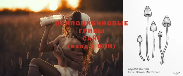 твердый Корсаков