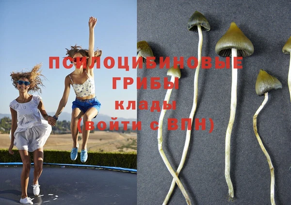 герыч Кодинск