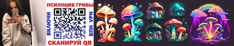 Псилоцибиновые грибы Cubensis  Купить закладки  Кремёнки 
